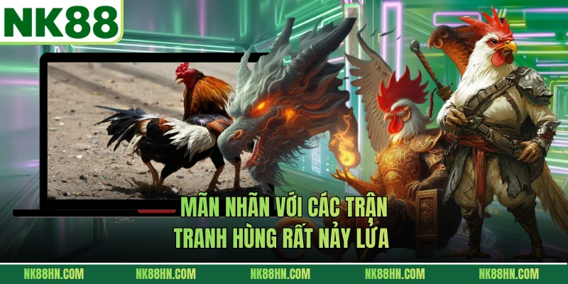 Mãn nhãn với các trận tranh hùng rất nảy lửa 